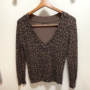 Express V neck sweater